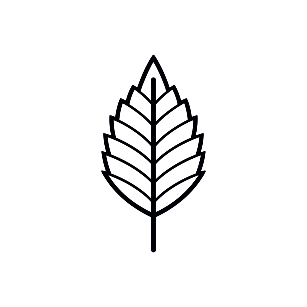 White Elm Collective Leaf Icon
